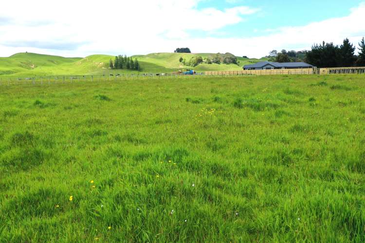 8 Horseshoe Lane Pahiatua_5