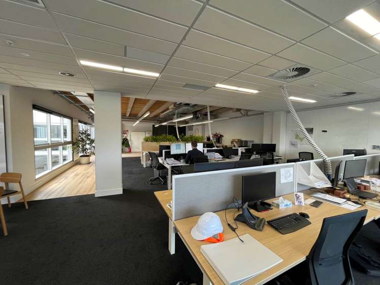 7 Falcon Street Parnell_6