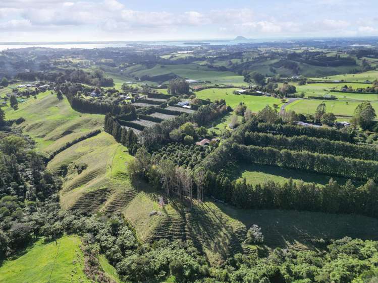 482B Esdaile Road Whakamarama_10