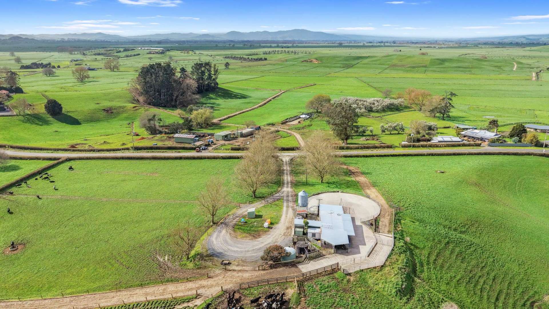 291 Waring Road Taupiri_0