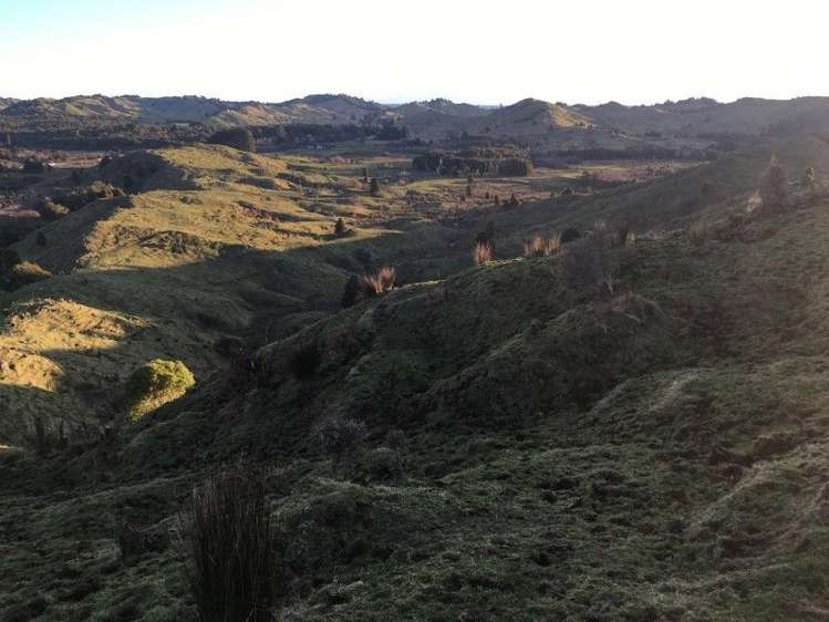 1427 Waitaanga Road Ohura_13