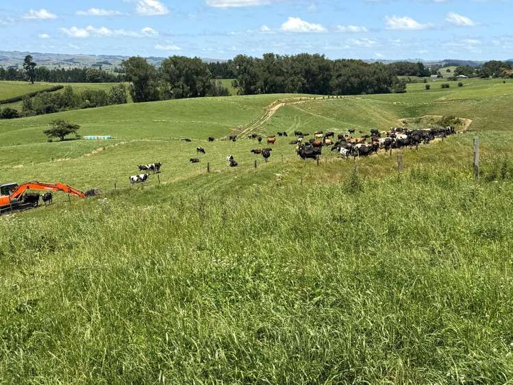 219 Waitomo Valley Road Otorohanga_14