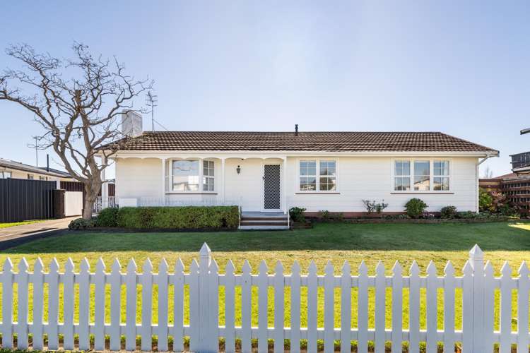 4 Plunket Street Tamatea_15