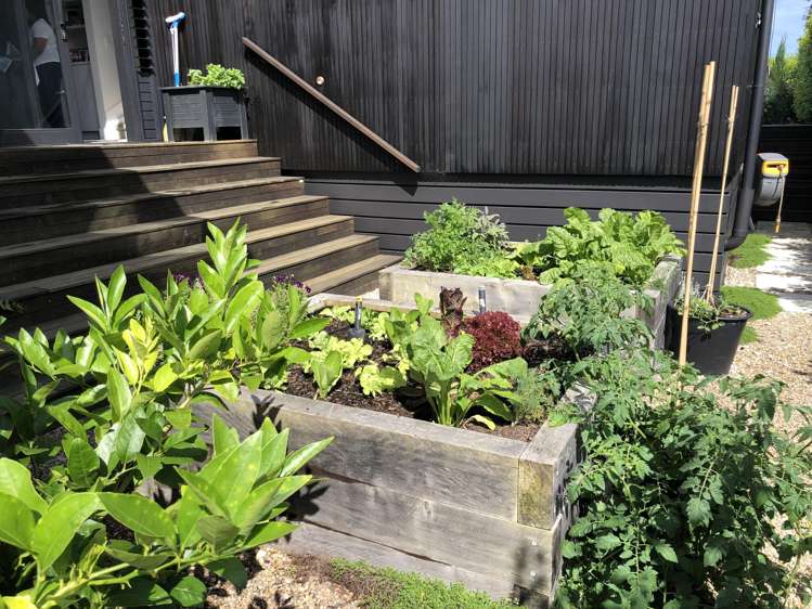 150A Coates Avenue Orakei_36