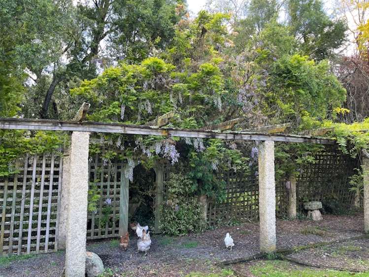 78286 State Highway II Dannevirke_23