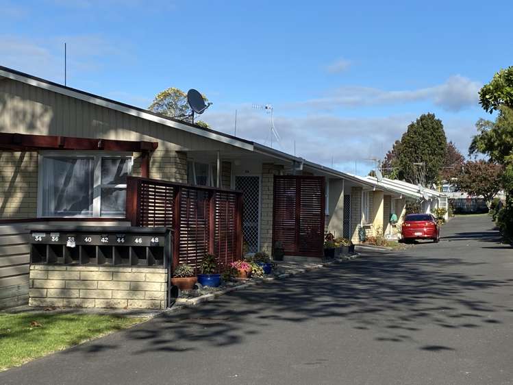 36 Seventeenth Avenue Tauranga South_13