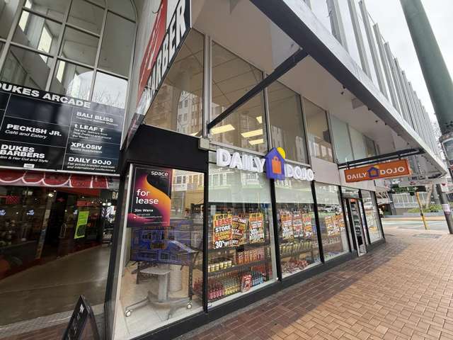 1/1 Manners Street Te Aro_2