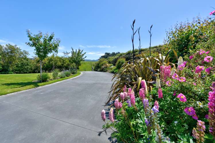 21 Willow Lane Gore_3