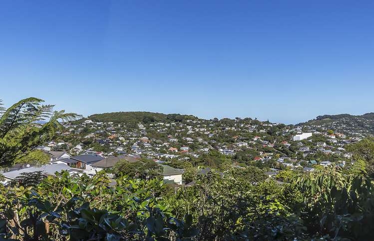 5 Kau Kau Way Ngaio_12