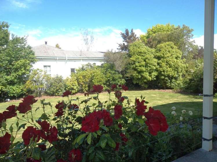 117 Cole Street Masterton_20