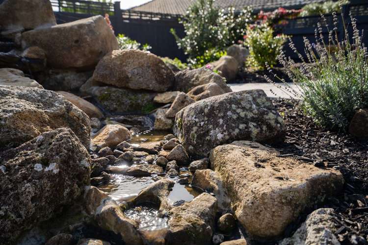 3a Mcainch Place Kamo_29