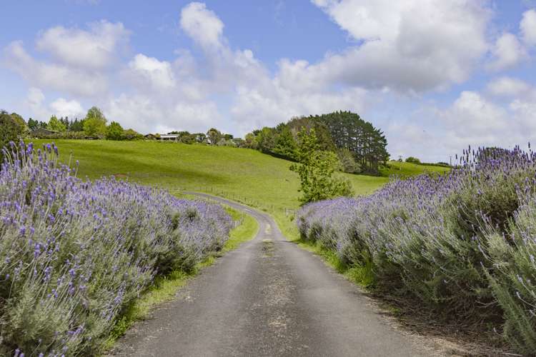 81b Morley Road Waiuku_19