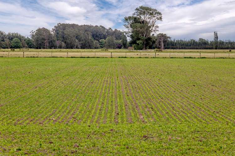 Christchurch Akaroa Road Tai Tapu_14