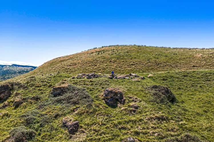 16 Linden Close Eskdale_9