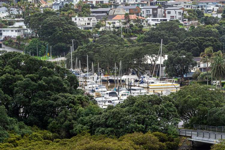 806/20 Omana Road Milford_14