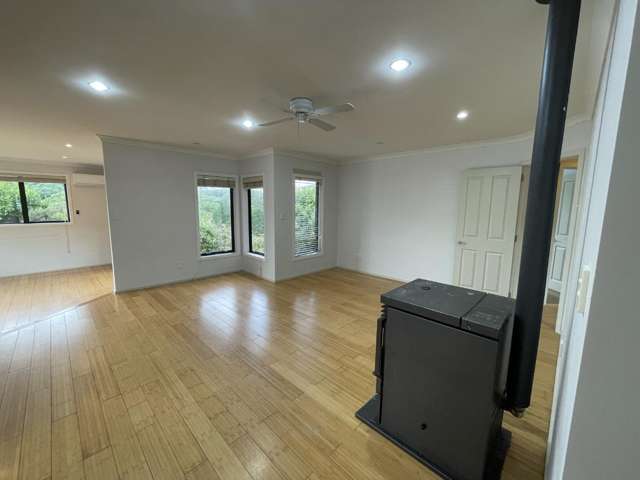 5 Catlins Glen Aotea_4