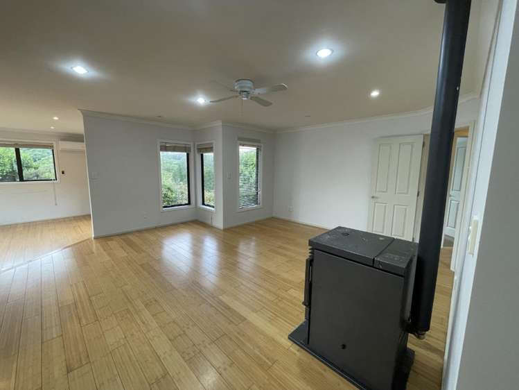 5 Catlins Glen Aotea_4