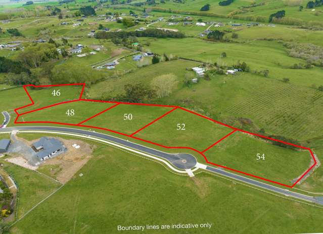 54 Moorfield Road Te Kauwhata_2