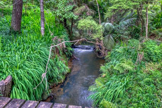 1807 Diggers Valley Road Kaitaia_4