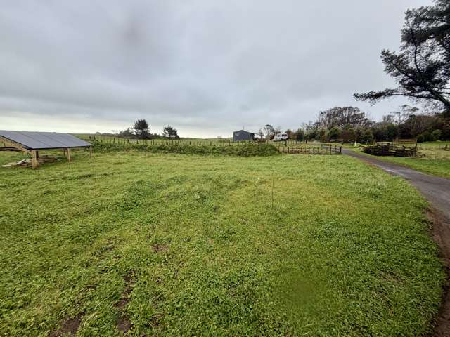 13 Weka Street Te Kiri_2