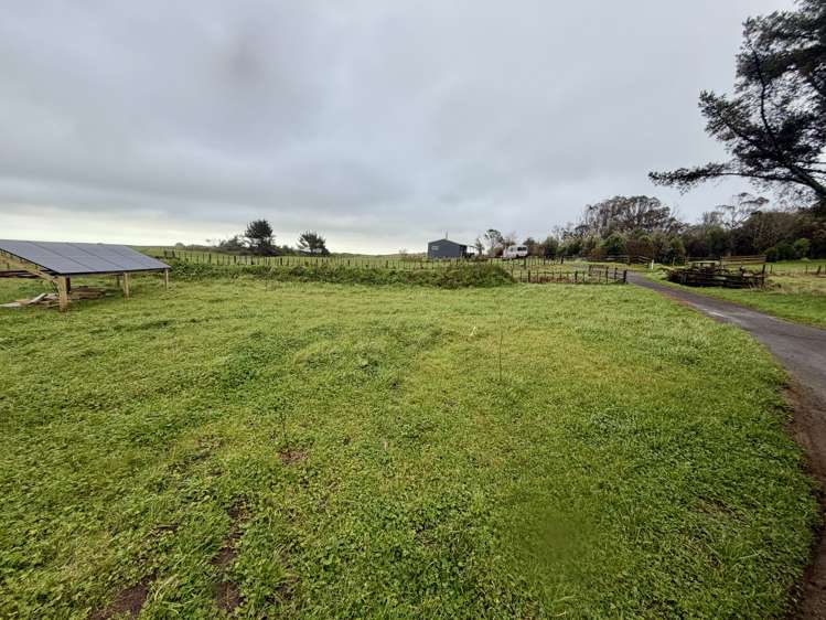 13 Weka Street Te Kiri_2