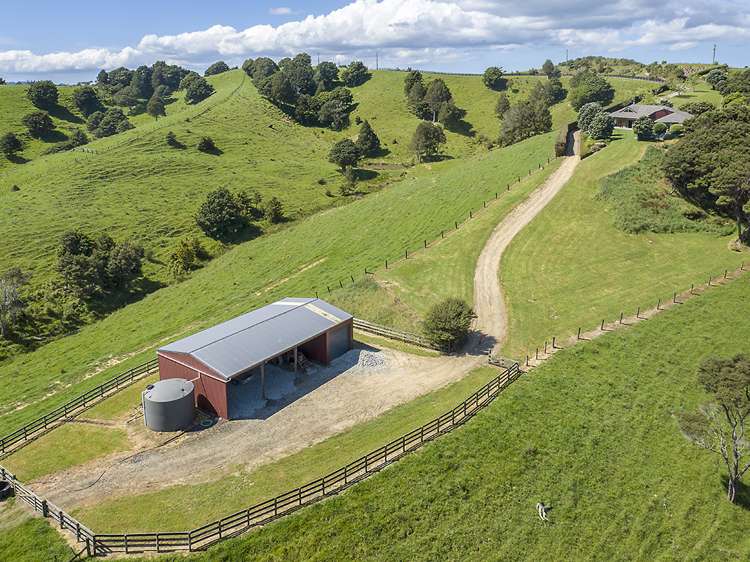 306 Shanks Road Helensville_14