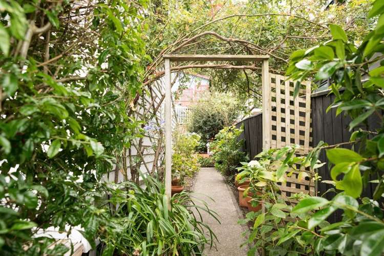 8 Barton Terrace Thorndon_9