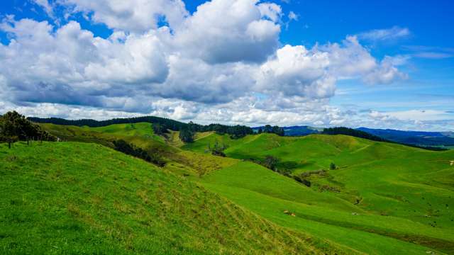 326 Dimmock Road Maramarua_3