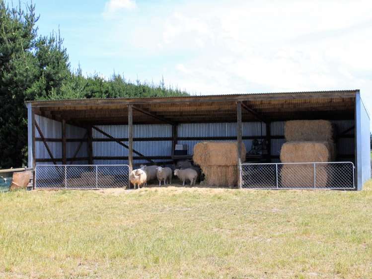 1199 Telegraph Road Darfield_13