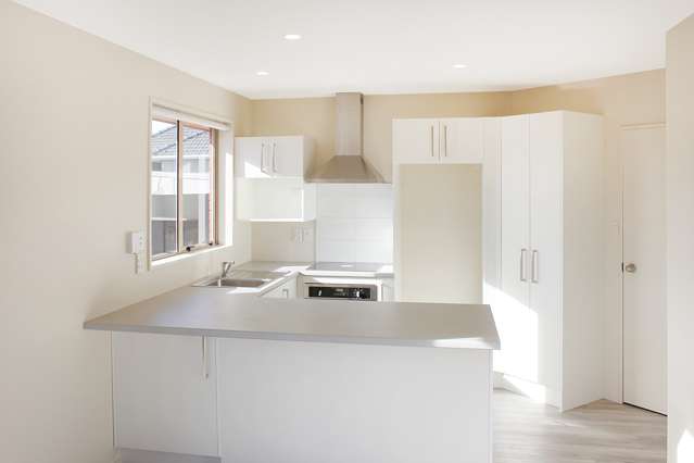 176e Mcgregors Road Linwood_1