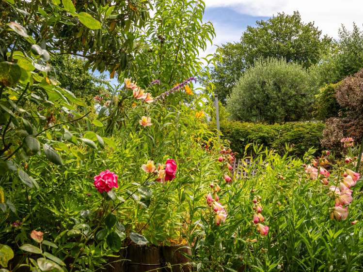 77 Rue Lavaud Akaroa_45