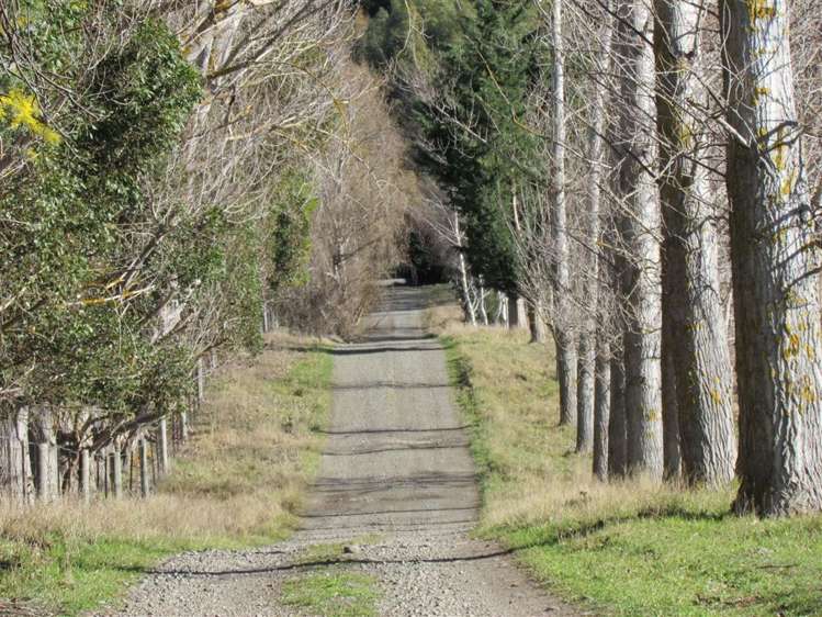 164 Ward Road Cheviot_19