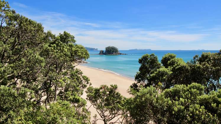 162f Whitipirorua Road Onemana_1