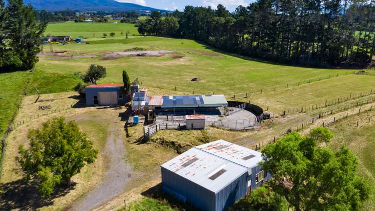 1256 Mangorei Road Mangorei_10