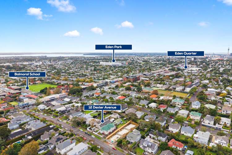 12 Dexter Avenue Mt Eden_35