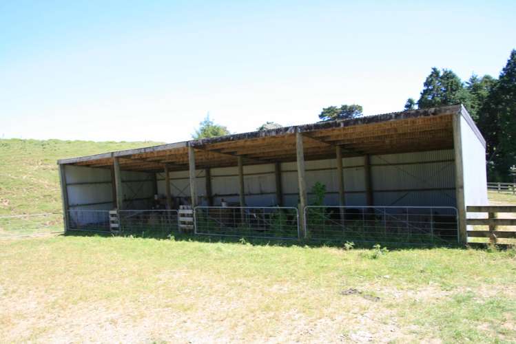 102 Manu Road Te Popo_21