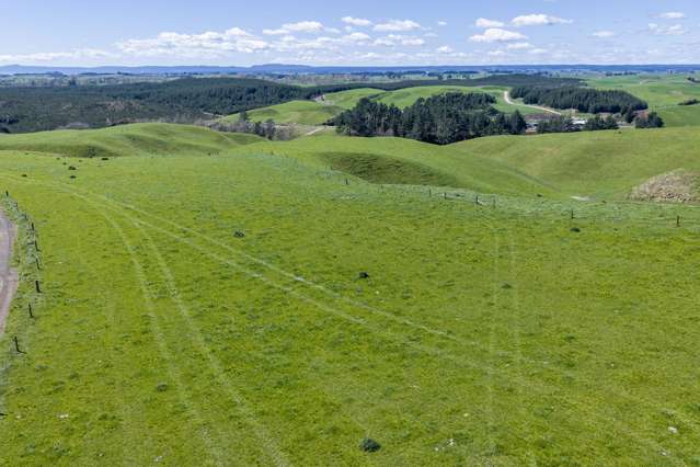 937 AB Wiltsdown Road South Waikato Surrounds_3