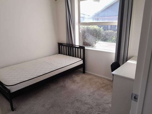 36A Seymour Street Hornby_3