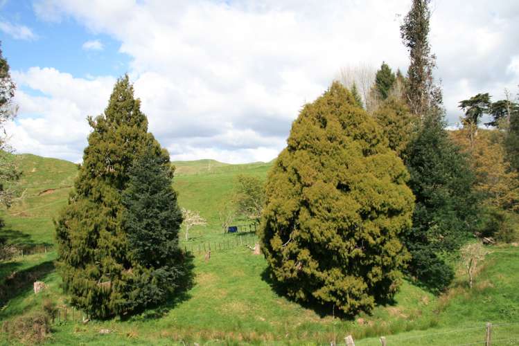 19 Rimuputa Road Tahora_21