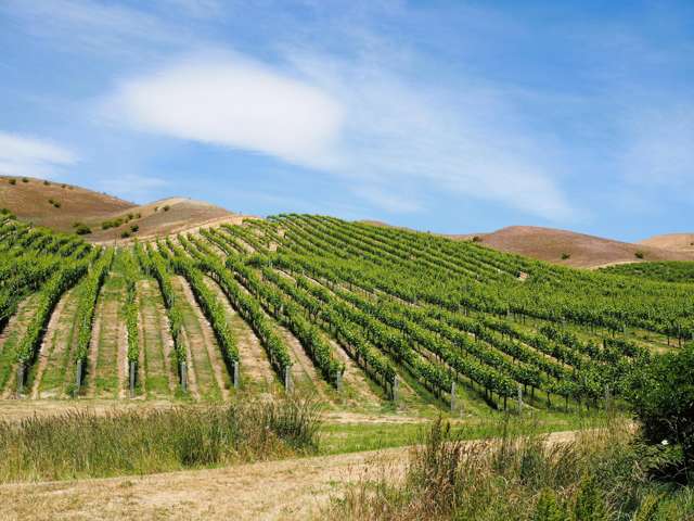 29 McFelin Road Cromwell_4