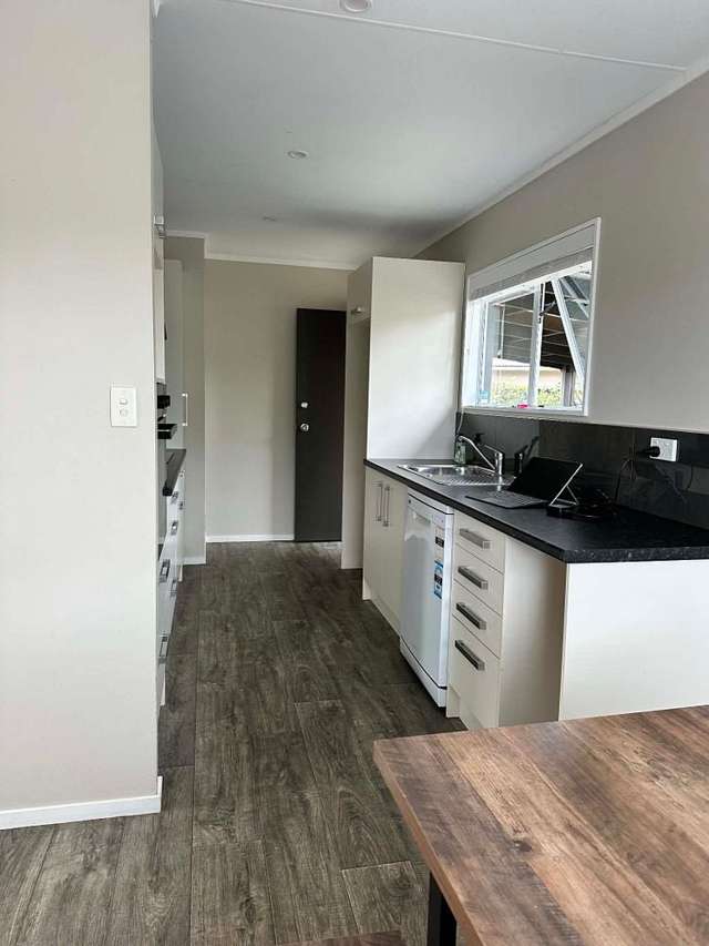 13 Guy Avenue Levin_3