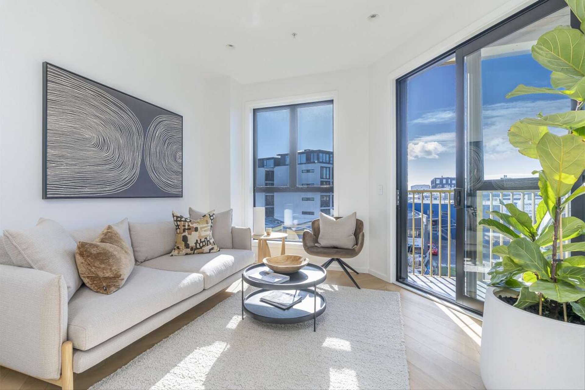20 Williamson Avenue Grey Lynn_0