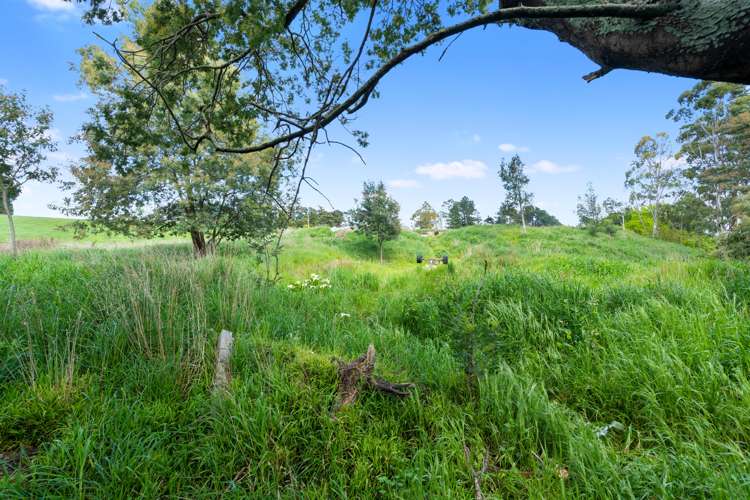 Wards Line Greytown_3