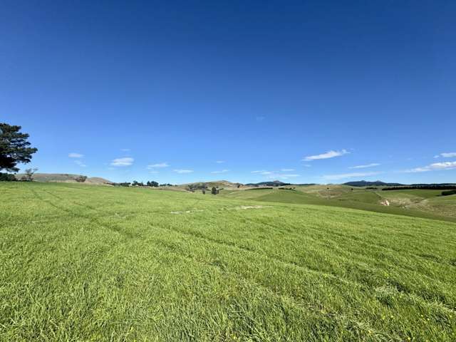 116 Burraness Street Palmerston_3