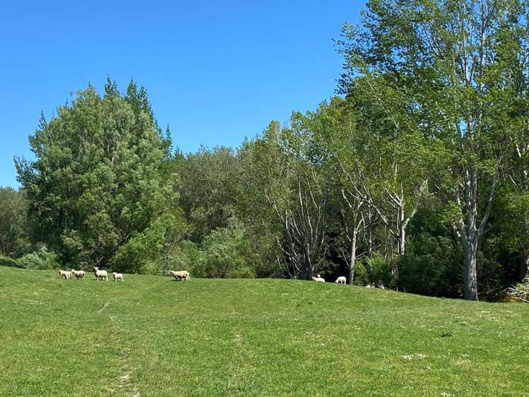 66 Otokia-Kuri Bush Road West Henley_31