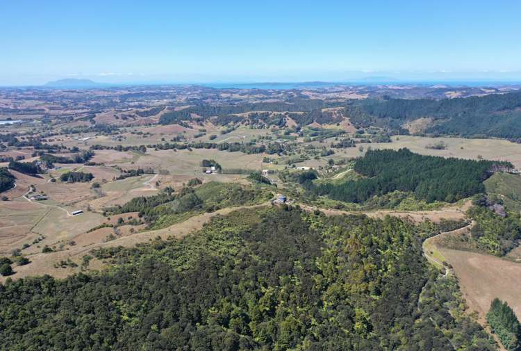 96 Dennis Road Kaipara Flats_2