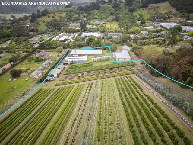 36A Horotane Valley Road Heathcote Valley_4