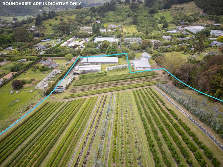 36A Horotane Valley Road_4