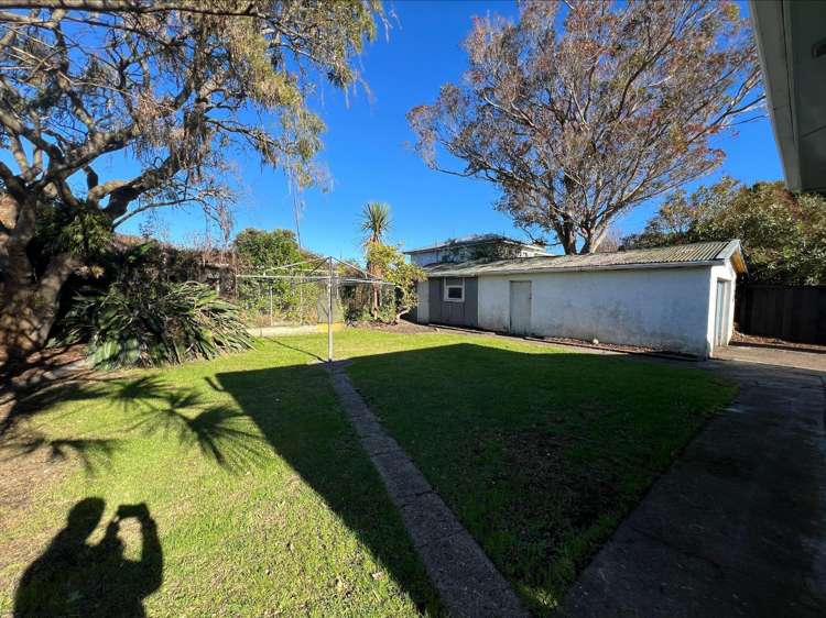 11 Nikau Street Tawhero_11