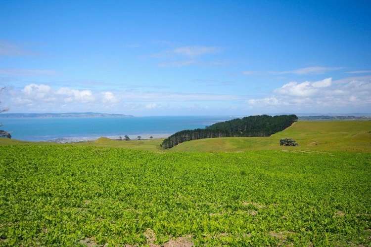 801 Burma Road Tapora_12